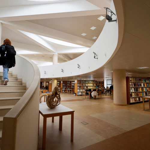 bibliotecanovas8