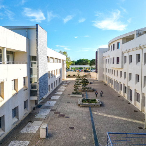 CNS